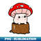 GI-23228_Red mushroom 9057.jpg