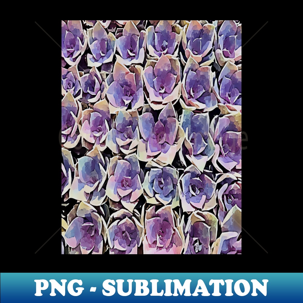 GS-9729_Echeveria Purple Pearl pattern 4250.jpg