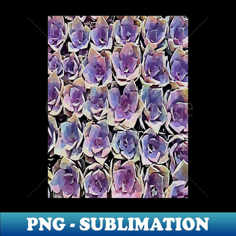 GS-9729_Echeveria Purple Pearl pattern 4250.jpg