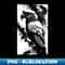 HA-21589_parrot black and white 5848.jpg