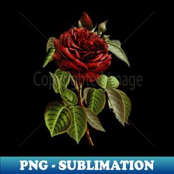 dark burgundy romantic rose pattern and single rose - premium png sublimation file - create with confidence