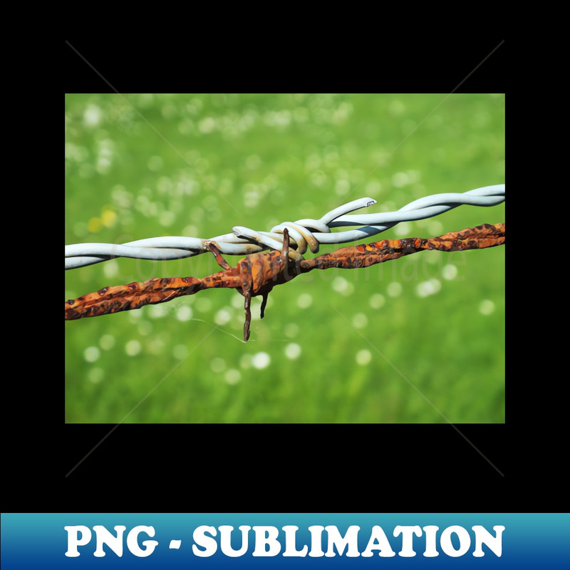 HG-26339_Still Life with Barbed Wire 7987.jpg