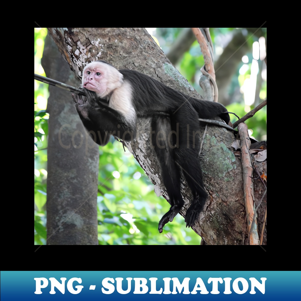 HL-13291_Hang In There 3461.jpg