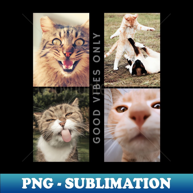 HS-5867_Cat-tastic Comedy Club 8620.jpg