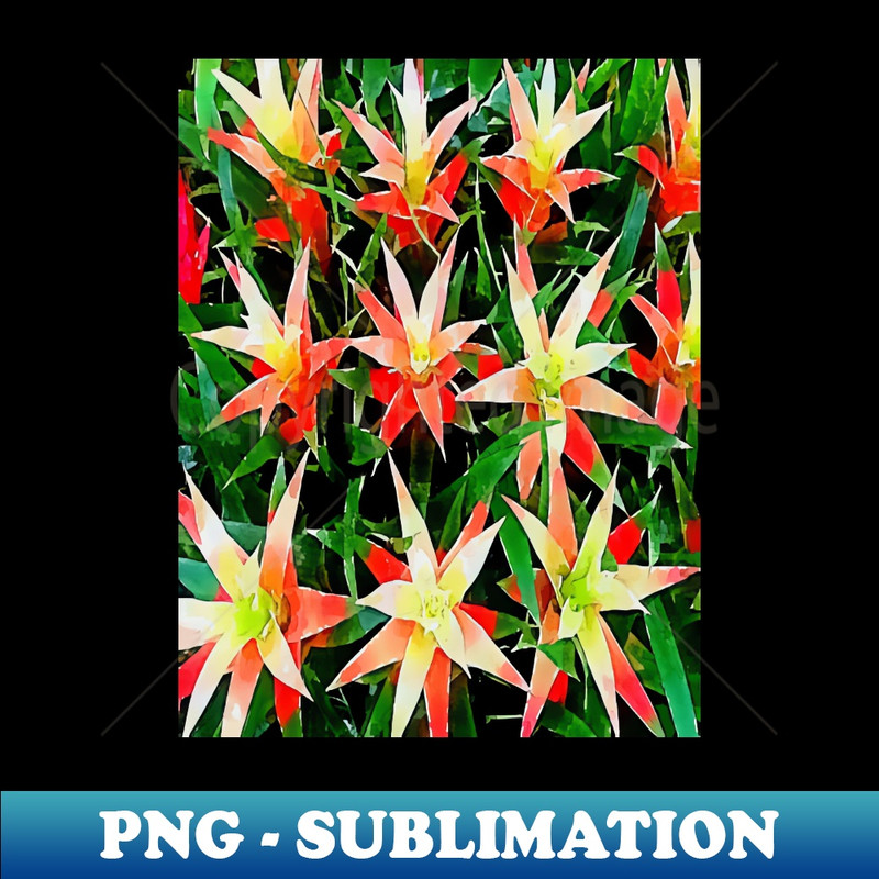 HX-5152_bromeliads pattern 8090.jpg