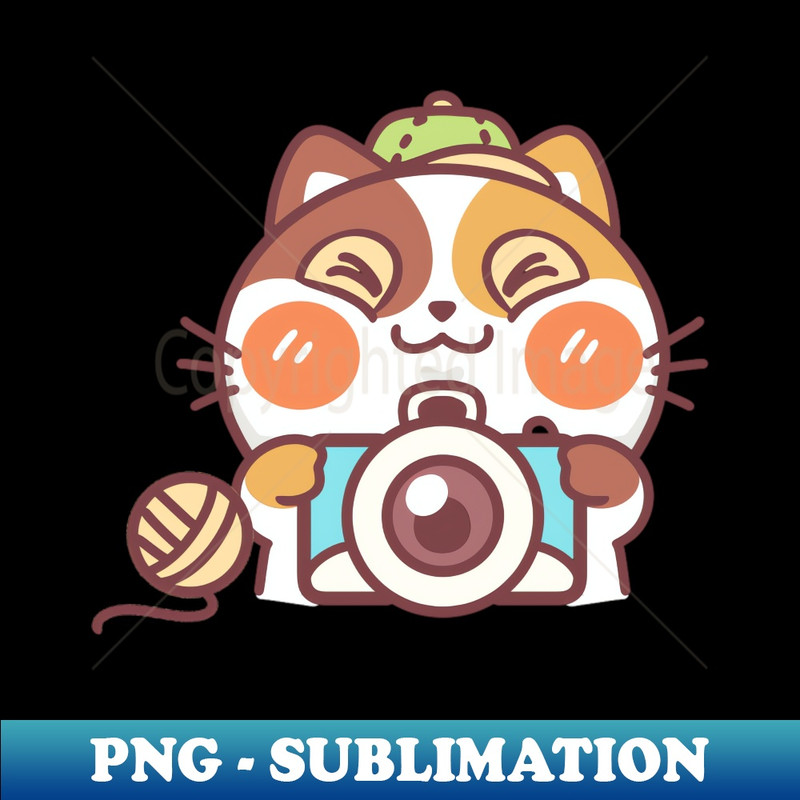 IC-1160_Adventurous Cartoon Cat with Camera and Yarn 4278.jpg