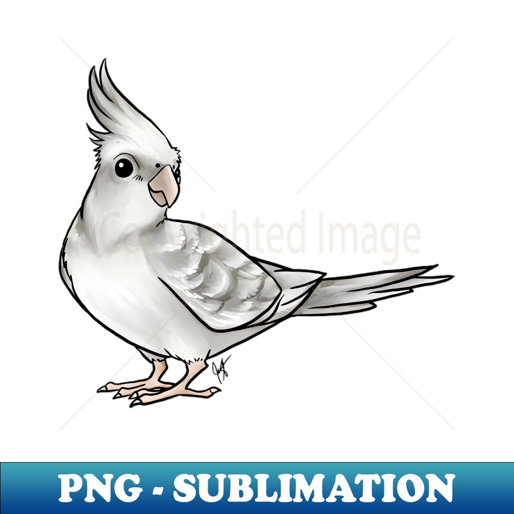 IE-4011_Bird - Cockatiel - Silver 1229.jpg