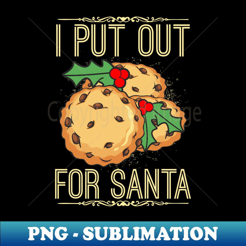 IP-14770_I PUT OUT FOR SANTA Funny Santa Christmas Cookies , 0249.jpg