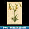 IV-5502_Canada Lily-Available As Art Prints-MugsCasesDuvetsT ShirtsStickersetc 7199.jpg