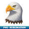 JC-2888_Bald Eagle 3252.jpg
