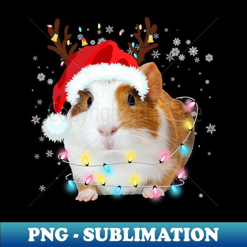 JO-11524_Funny Guinea Pig Santa Hat reindeer antlers Lights Christmas  0179.jpg