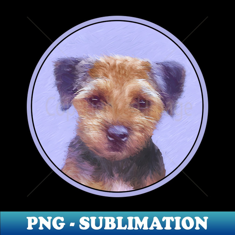 KF-4840_Border Terrier 5820.jpg