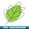 KQ-17461_leaf art drawing 2172.jpg