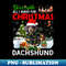 KS-1489_All I Want For Christmas Is A Dachshund Family Pajamas 0005.jpg