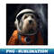 KV-2381_Astro Dog - Bearded Collie 5689.jpg