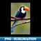KX-28651_toucan art 5393.jpg