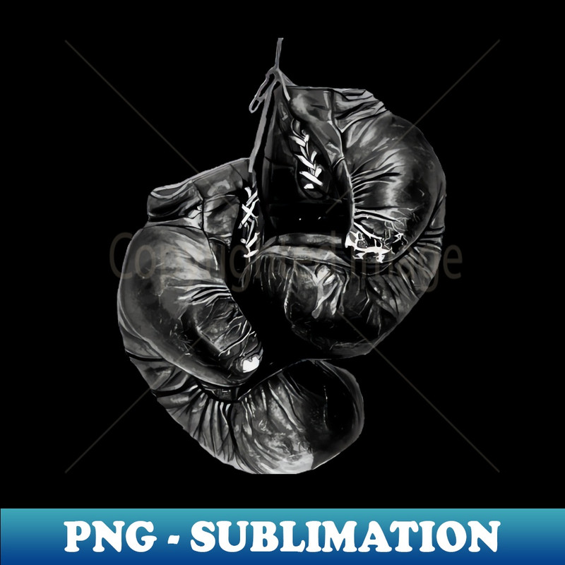 LV-4954_Boxing Gloves 1000.jpg