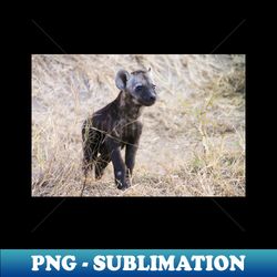 young hyena cub - professional sublimation digital download - vibrant and eye-catching typography