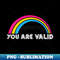 MJ-31132_You Are Valid Pansexual LGBT Pride Lgbtq Pride Month Equality T-Shirt Human Rights Queer Liberal 1133.jpg