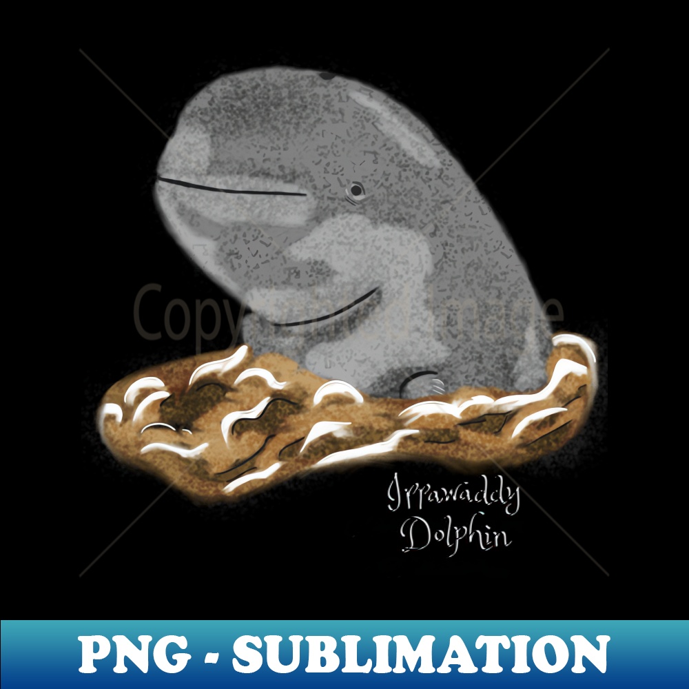 NE-15633_Irrawaddy dolphin 9535.jpg