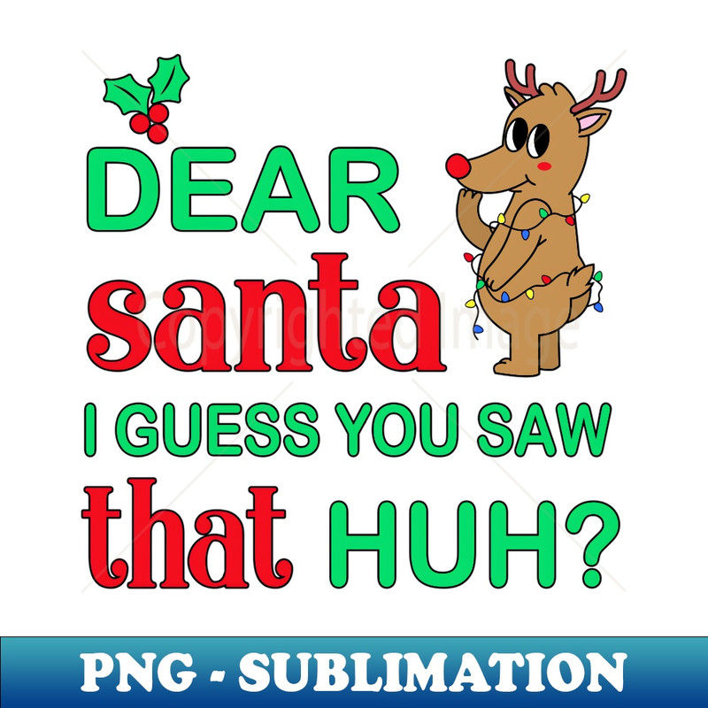 NK-11381_Funny Christmas Dear Santa I Guess You Saw That Huh Reindeer  0161.jpg