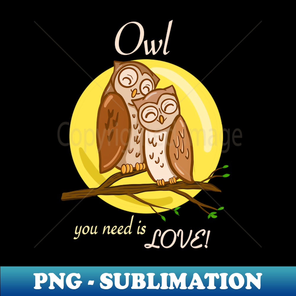 NK-21423_Owl you need is love  2 cute owls 4676.jpg