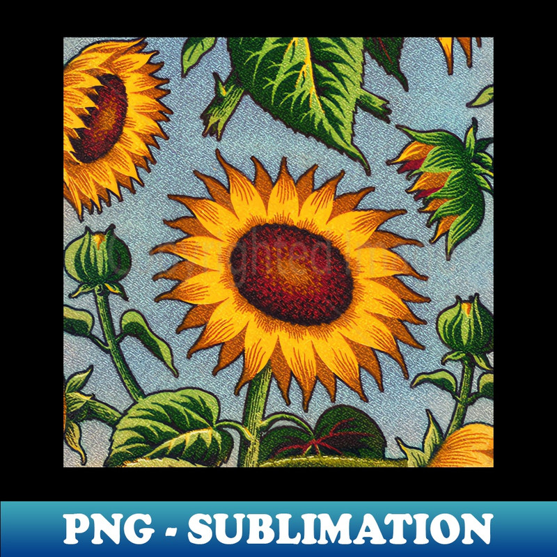 NL-26732_Sunflowers 2420.jpg