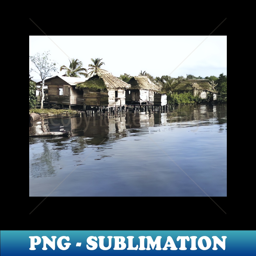 NM-6990_Colorized Vintage Photo of Puerto Barrios 2551.jpg