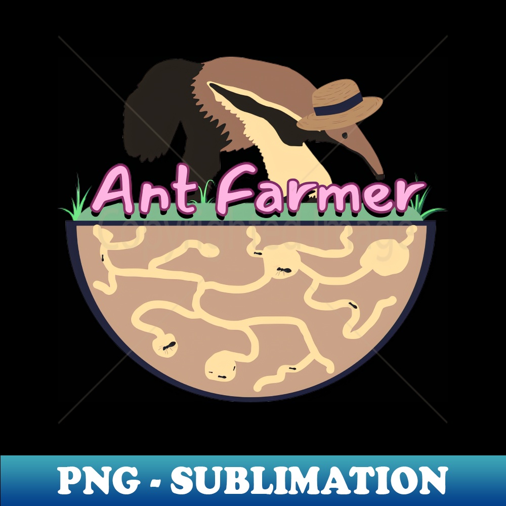 NM-7635_Cute Anteater Design - Annie the Ant Farmer 9263.jpg