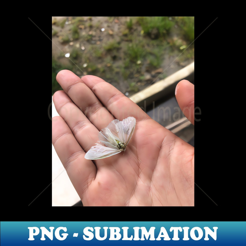 NW-8435_Dead White Moth  in Colombia 5431.jpg