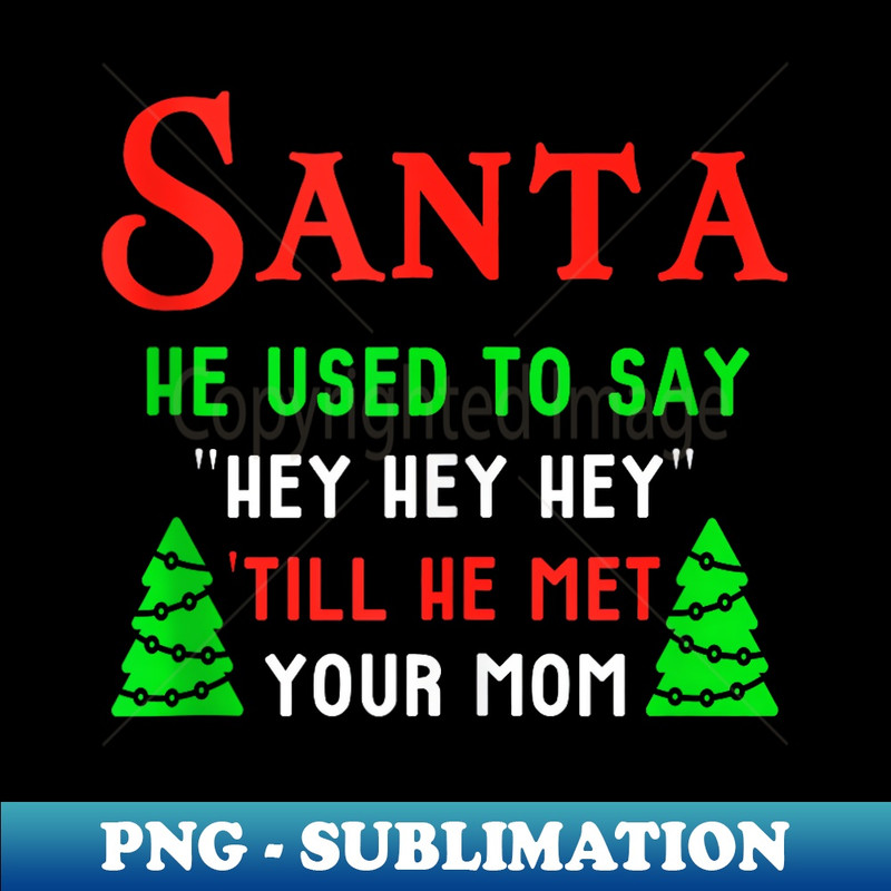 OB-29315_Used To Say Hey Hey Hey, Funny Adult Christmas Santa  0482.jpg