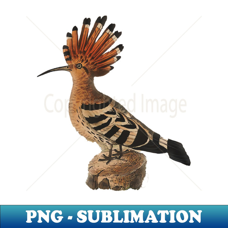 OE-4023_bird standing on a wood 3008.jpg