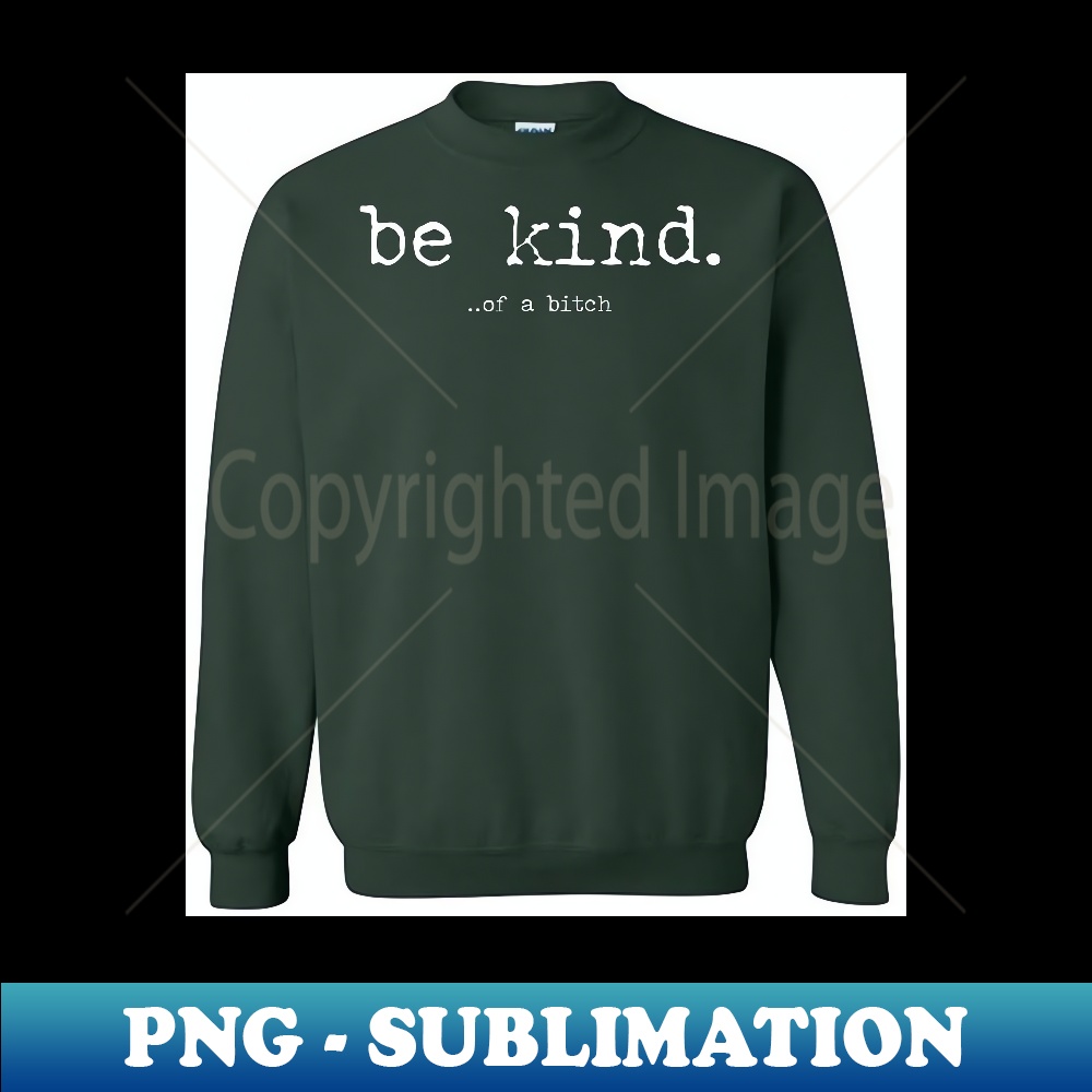 OG-7443_CreativeBrand Be kind of a bitch Funny 2024 , , Hoodie 0157.jpg