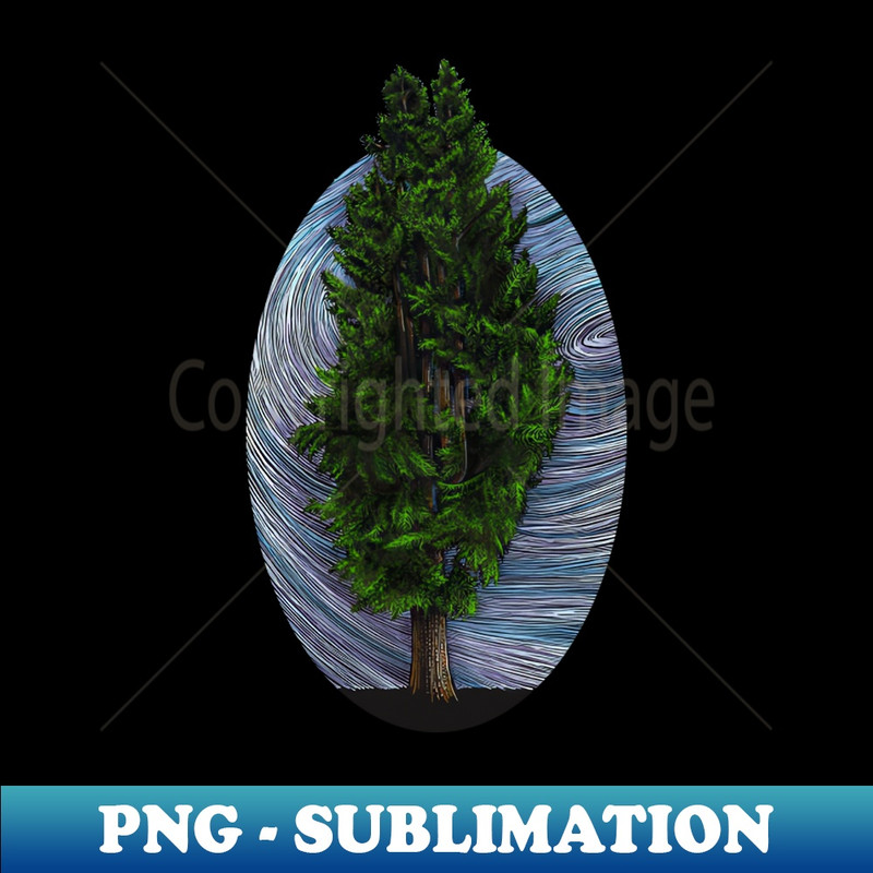 OK-5926_Cedar Tree in morning fog 5506.jpg