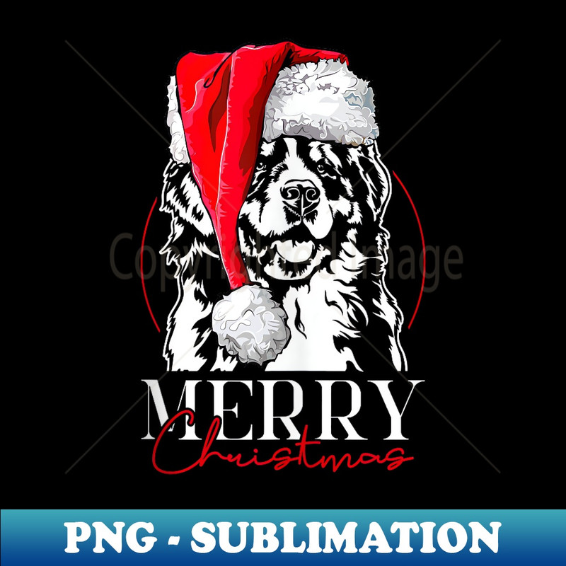 OL-11636_Funny Santa Bernese Mountain Dog Merry Christmas dog mom dog 0190.jpg