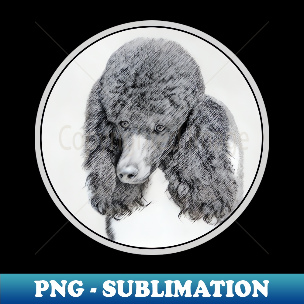 PE-26192_Standard Poodle Parti Color 4629.jpg