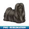 PG-9126_Dog - Lhasa Apso - Black 3139.jpg