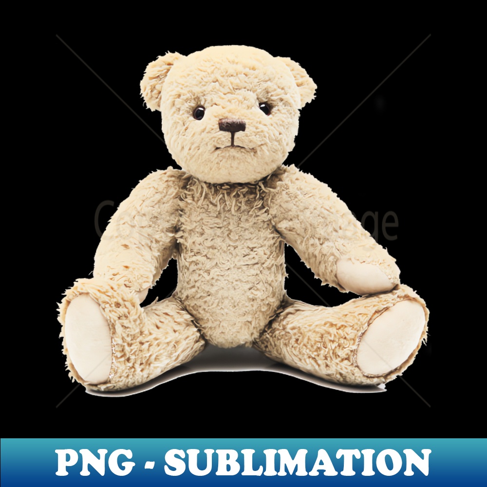 PL-22165_Plush Toy Teddy Bear 6861.jpg