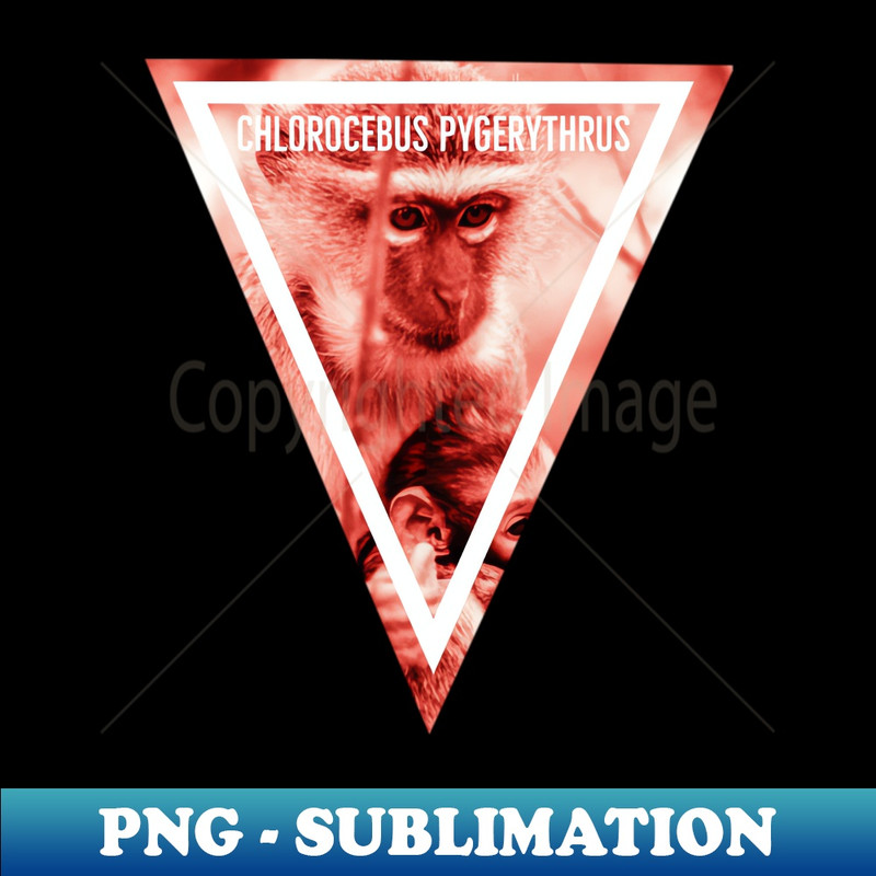 PY-29474_Vervet Monkey Travel Sticker 4786.jpg