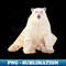 QC-17444_Lazy Bear 4988.jpg