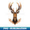 QE-13683_Height and Elegance Deer Head 9855.jpg