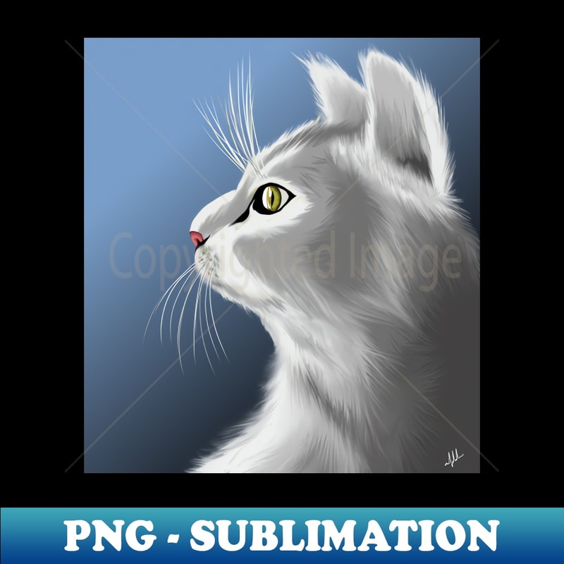 QO-12770_Gray Cat 5324.jpg