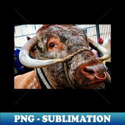 english long horn cow cattle - special edition sublimation png file - enhance your apparel with stunning detail