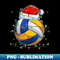 QY-11693_Funny Santa Volleyball Ball & Net Christmas Lights Xmas PJS 0216.jpg