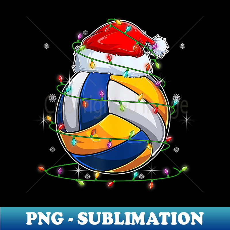 QY-11693_Funny Santa Volleyball Ball & Net Christmas Lights Xmas PJS 0216.jpg