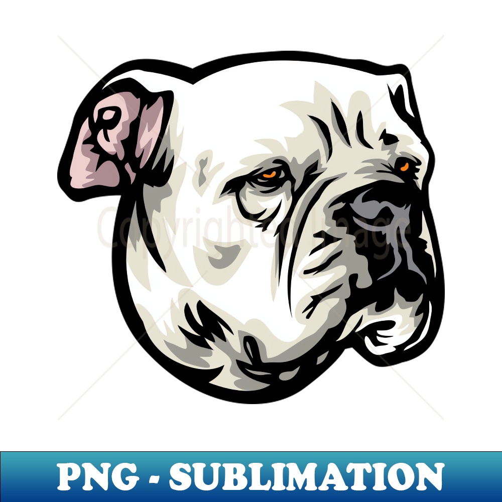 RB-1684_American Bulldog Portrait Drawing 6644.jpg