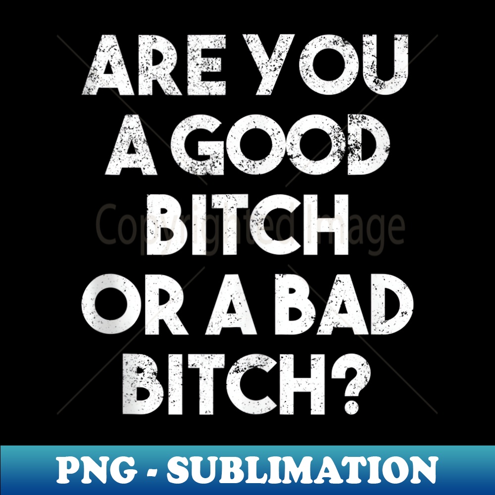 RL-11323_funny bitch, good witch, bad witch, Wizard, OZ joke 0194.jpg