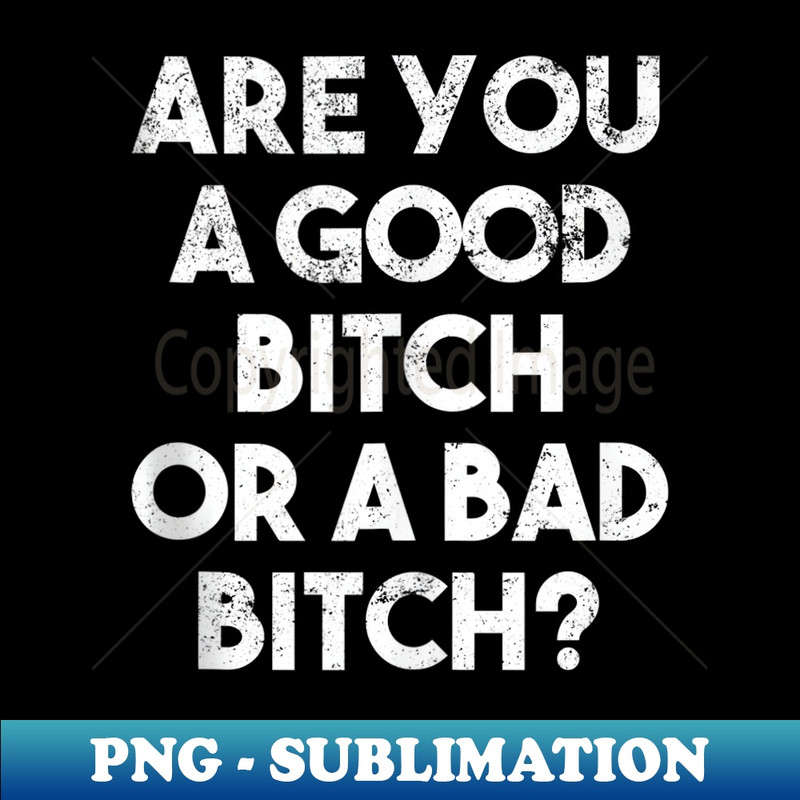 RL-11323_funny bitch, good witch, bad witch, Wizard, OZ joke 0194.jpg