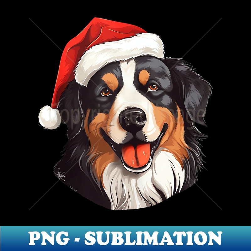 RN-14127_Hovawart Santa Hat Christmas er Pet Dogs  0237.jpg