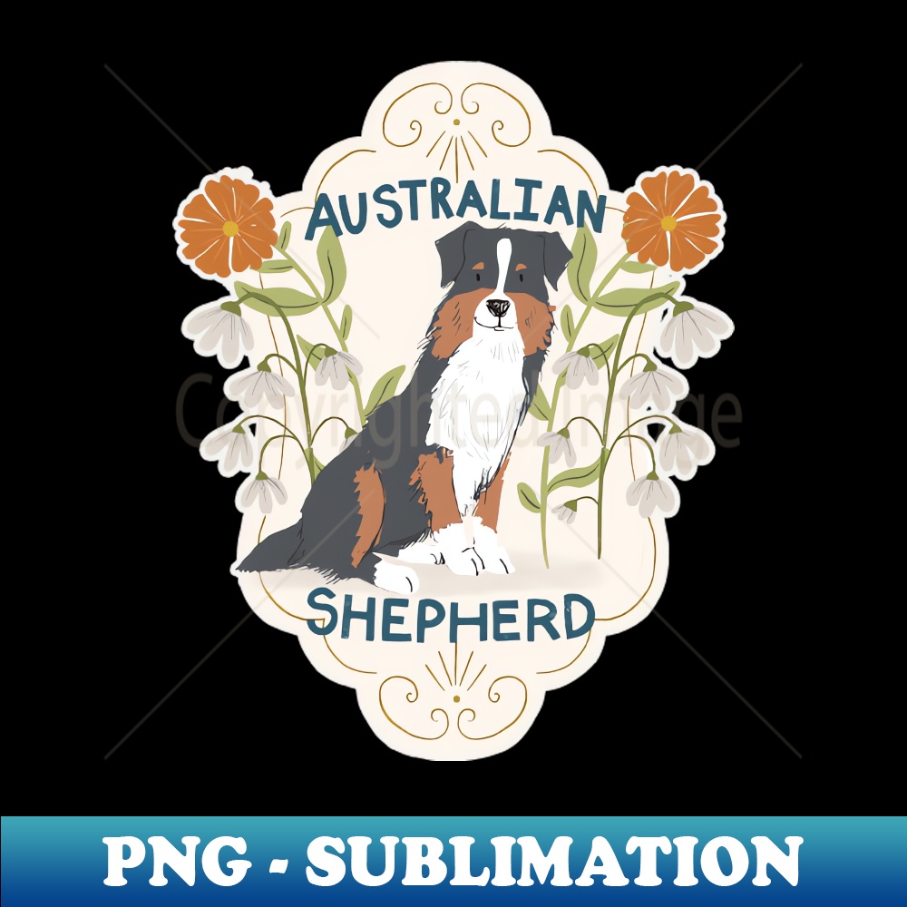 RS-2584_Australian Shepherd Dog 8059.jpg